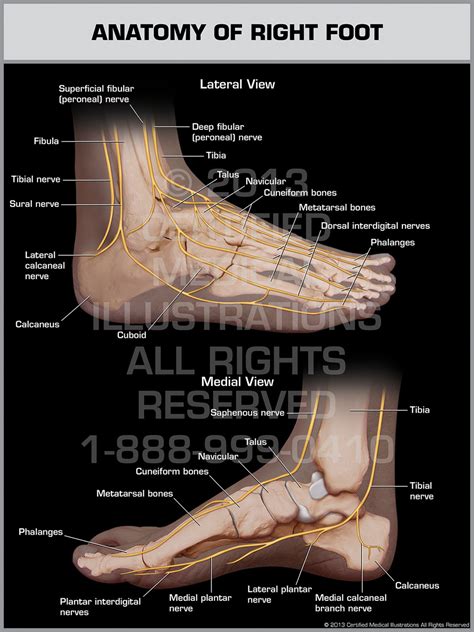 Right Foot .